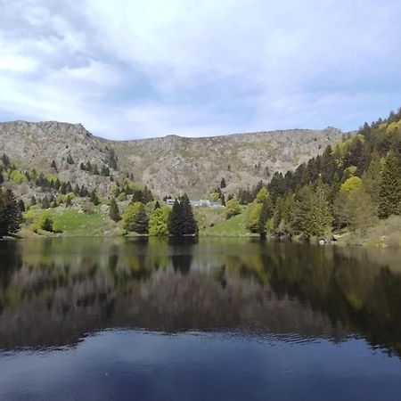 Aux Balcons De La Vallee Soultzeren Pokoj fotografie
