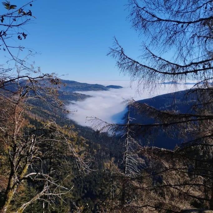Aux Balcons De La Vallee Soultzeren Exteriér fotografie