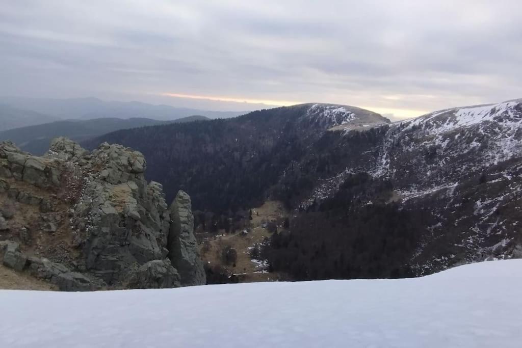 Aux Balcons De La Vallee Soultzeren Exteriér fotografie