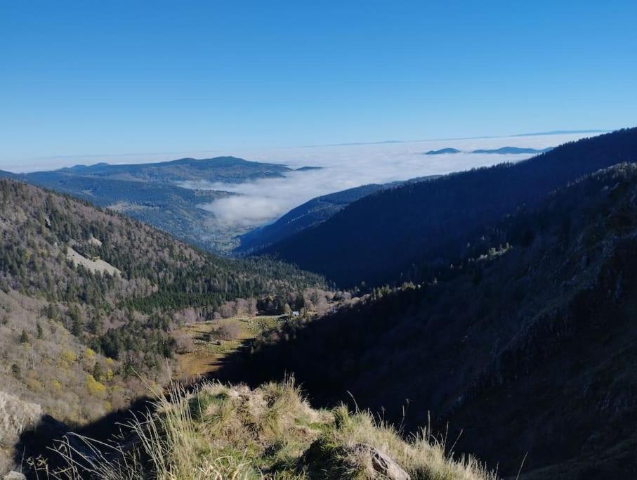Aux Balcons De La Vallee Soultzeren Exteriér fotografie