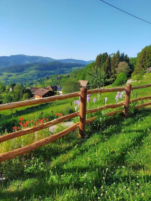Aux Balcons De La Vallee Soultzeren Exteriér fotografie